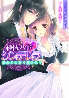 Sampul Manga Junjou Maid♥Cinderella: Kikoushi ni Amaku Aisarete