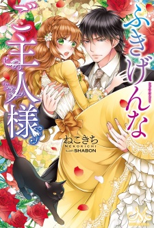 Sampul Manga Fukigen na Goshujinsama