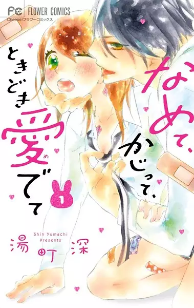 Gambar Cover Manga Namete, Kajitte, Tokidoki Medete