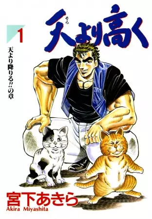Gambar Cover Manga Sora yori Takaku