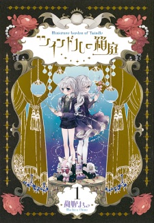 Sampul Manga Twindle no Hakoniwa
