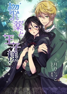 Sampul Manga Horegusuri to Oujisama