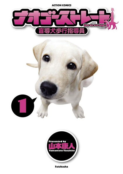 Gambar Cover Manga Nao Go Straight: Moudouken Hokou Shidouin