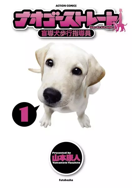 Cover Manga: Nao Go Straight: Moudouken Hokou Shidouin