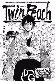 Sampul Manga Twin Peach