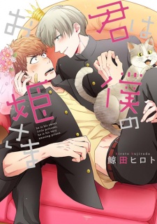 Sampul Manga Kimi wa Boku no Ohimesama