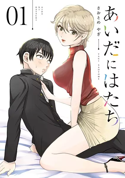 Gambar Cover Manga Aida ni Hatachi