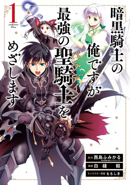 Gambar Cover Manga Ankoku Kishi no Ore desu ga Saikyou no Paladin wo Mezashimasu