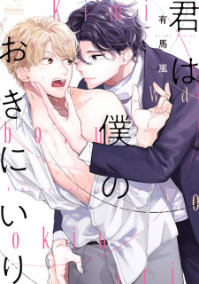 Sampul Manga Kimi wa Boku no Okiniiri