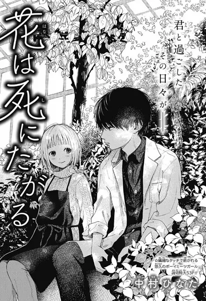 Gambar Cover Manga Hana wa Shinitagaru