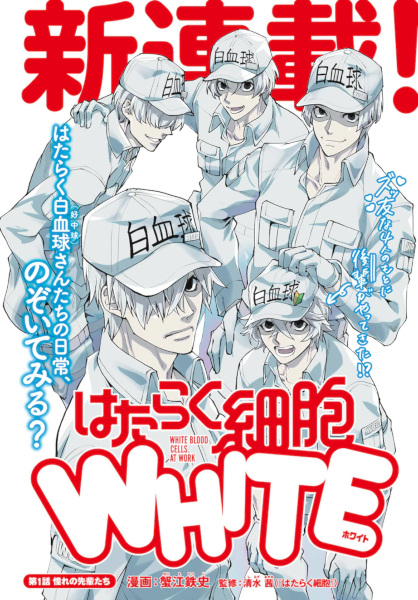 Gambar Manga Hataraku Saibou White