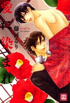 Sampul Manga Ai ni Somare