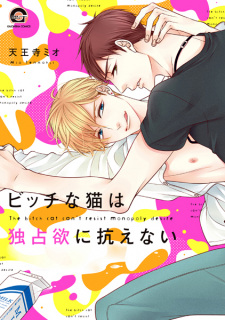 Sampul Manga Bitch na Neko wa Dokusenyoku ni Aragaenai
