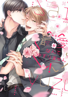 Sampul Manga Saiai nante Yuzurimasen!