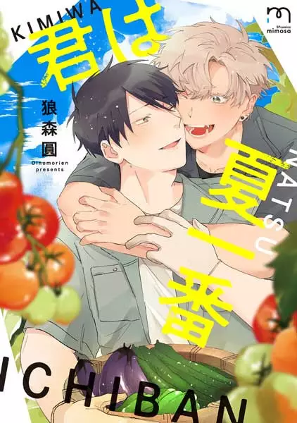 Gambar Cover Manga Kimi wa Natsu Ichiban