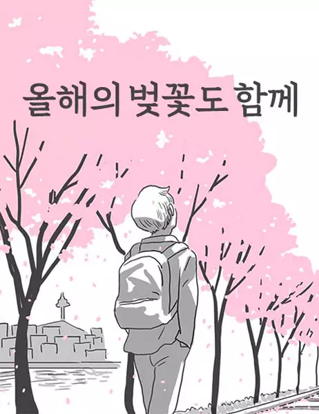 Gambar Cover Manga Cherry Blossoms