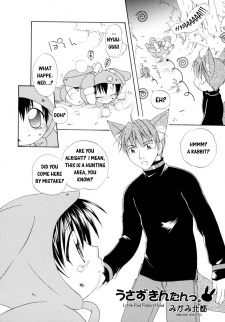 Sampul Manga Little Red Rabbit Hood