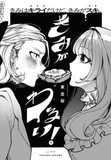 Sampul Manga Kimi ga Warui!