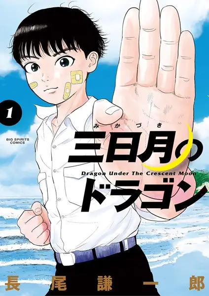 Gambar Cover Manga Mikazuki no Dragon