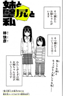 Sampul Manga Ane to Kabejiri to Watashi