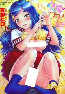 Sampul Manga Tadashii Koubi no Susume