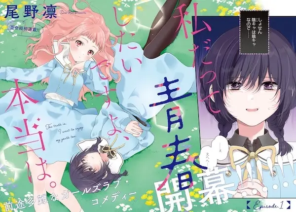Gambar Cover Manga Watashi datte Seishun shitai desu yo, Hontou wa.
