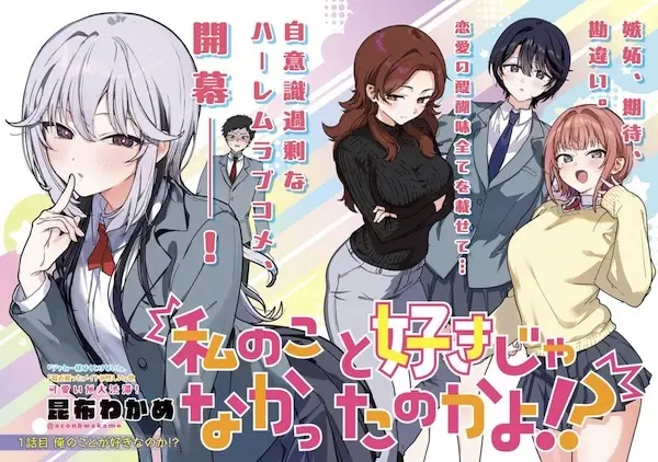 Gambar Cover Manga Watashi no Koto Suki ja Nakatta no ka yo!?