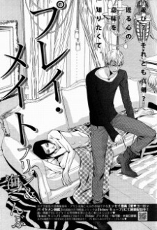 Sampul Manga Play Mate