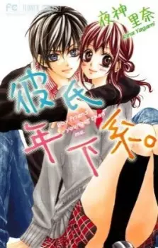 Gambar Manga Kareshi Toshishitakei