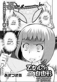Gambar Manga Otomegokoro no Jiyuugata