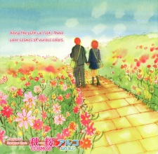 Sampul Manga Akizakura