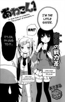 Sampul Manga Anecon!