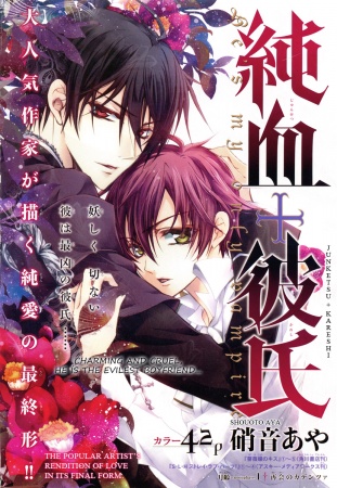 Manga image Junketsu + Kareshi