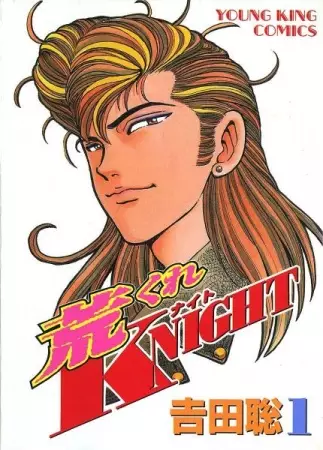 Gambar Cover Manga Arakure Knight