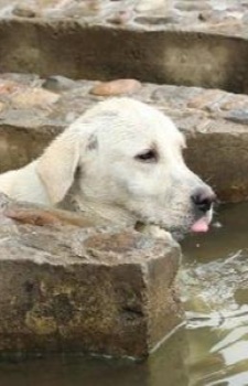 Foto Staf/Seiyuu Yiyue Jiushi Qiu